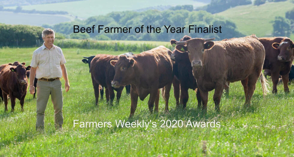 farmers-weekly-beef-farmer-of-the-year-finalist-andrew-hodgson-cheverton-farm-isle-of-wight-980x525